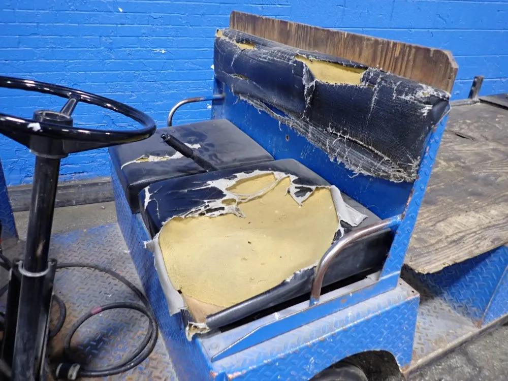 Taylor-dunn Utility Vehicle