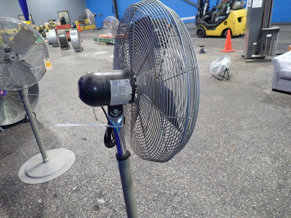 Tpi 24" Pedestal Fan - Ihp24-h
