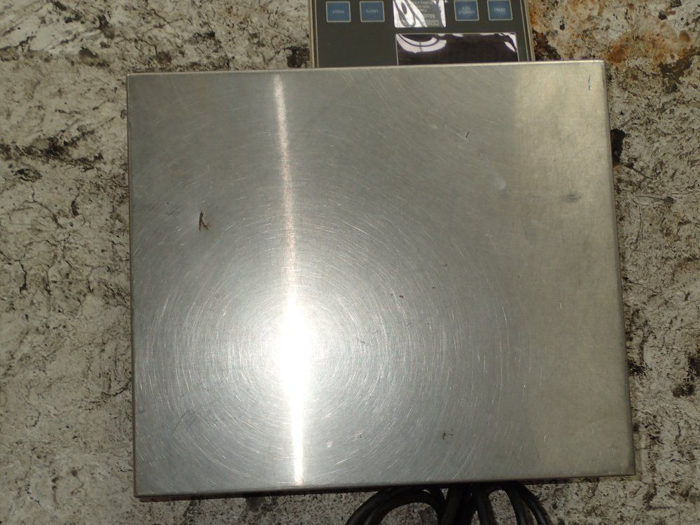 Pennsylvania S/s Scale