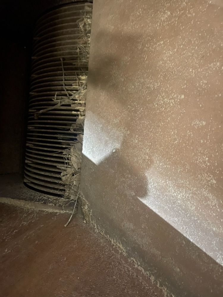 Schutte Buffalo 150 Hp Hammer Mill - 1590