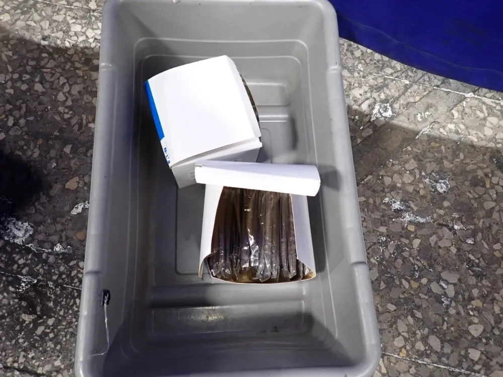 Eaton Outlet Box Covers - 2038b-box