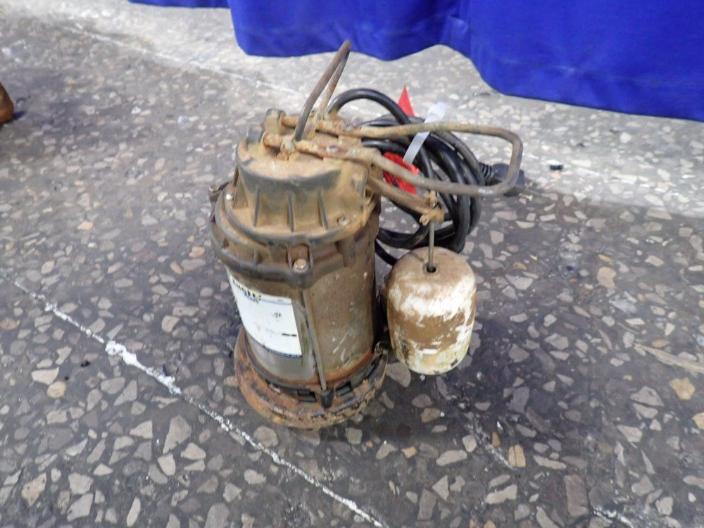 Blue Angel Sump Pump