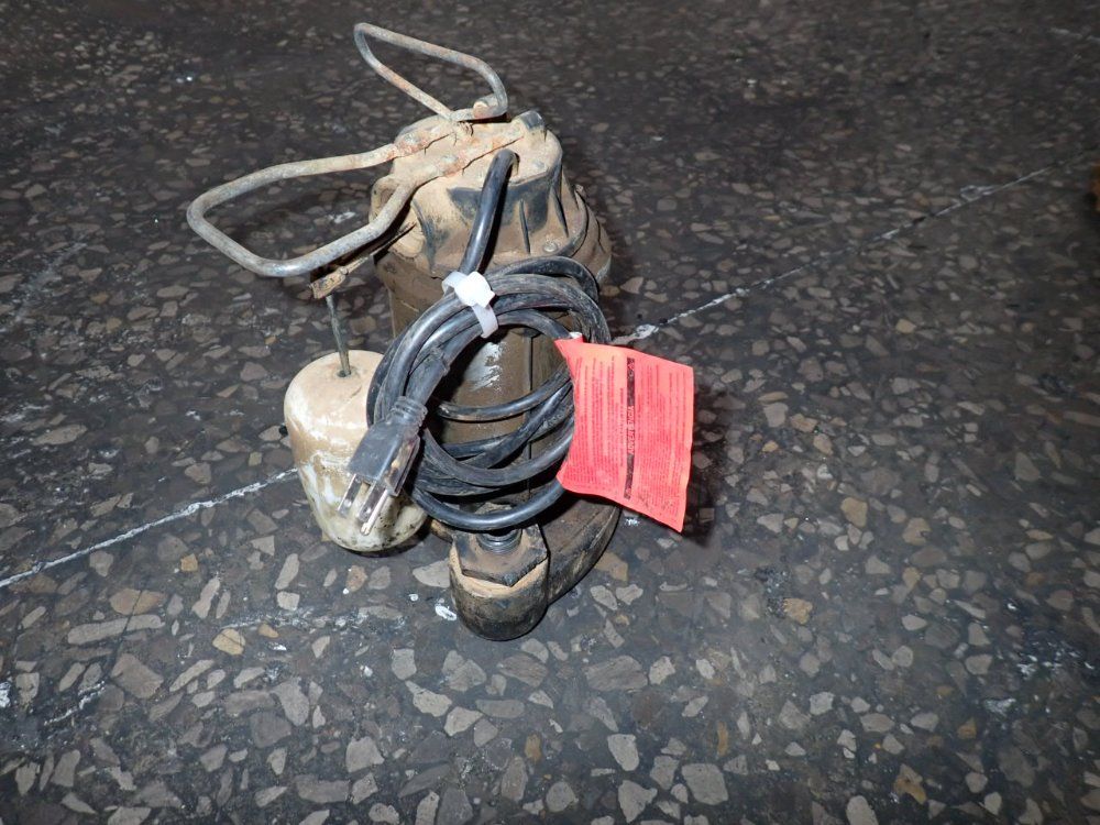 Blue Angel Sump Pump