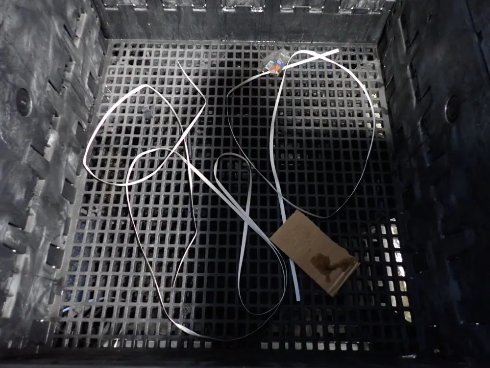 Orbis 44" X 41" X 36 1/2" Collapsible Bulk Container