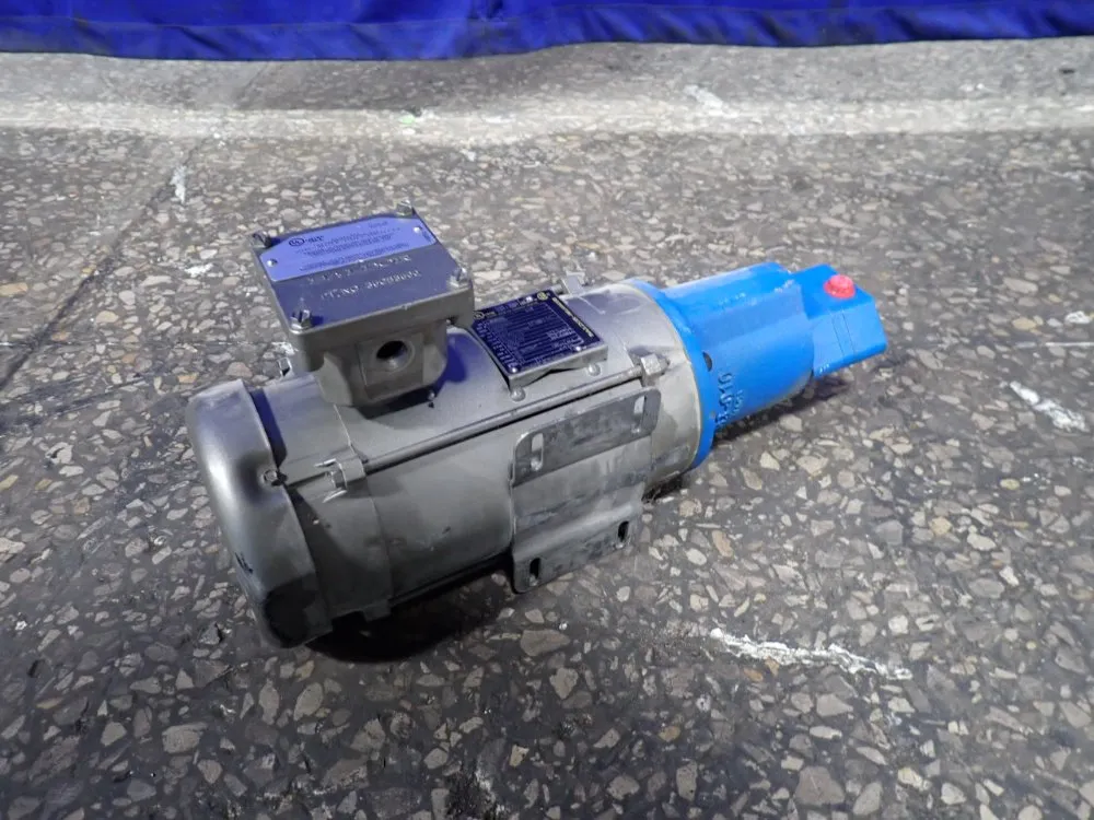 Viking Pump 2 Hp Pump - Sgn80550m20