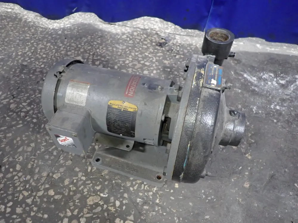 Paco Pumps 2 Hp Pump - 10-15951-130008-2562 E