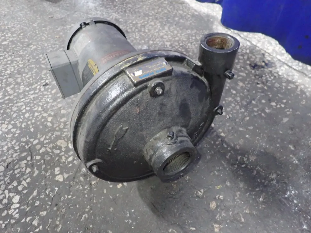 Paco Pumps 2 Hp Pump - 10-15951-130008-2562 E