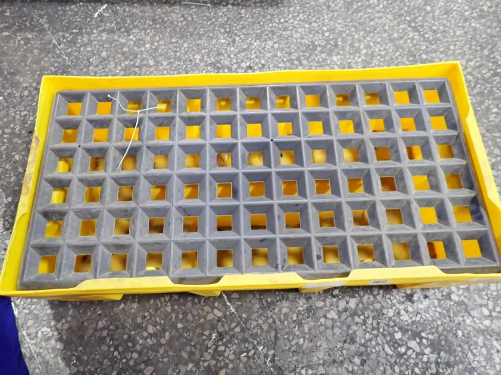 Eagle 2 Drums Containment Skid - 162u