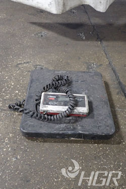 Scale