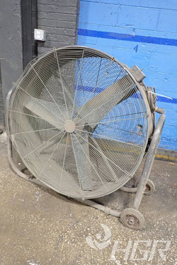 Fan