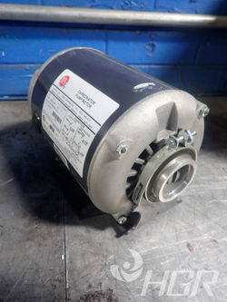 Motor