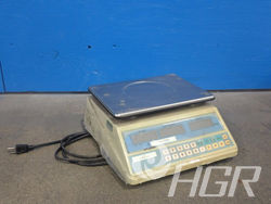 Electric Scale