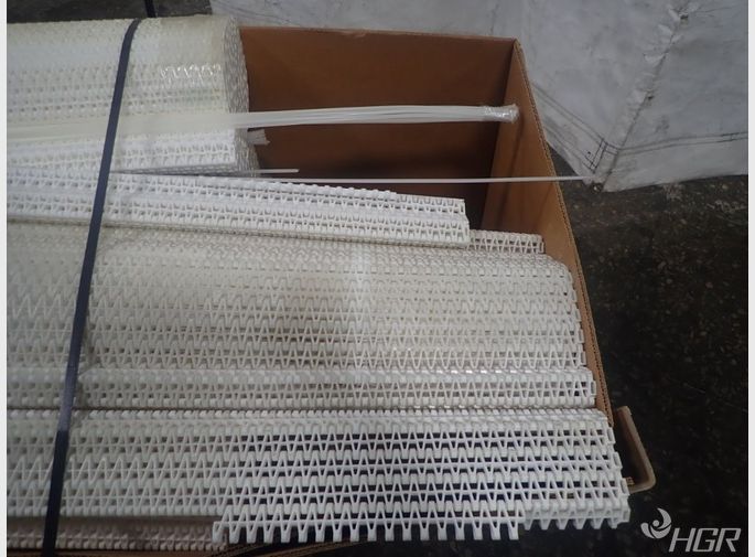 Flexline Plastic Conveyor Belts