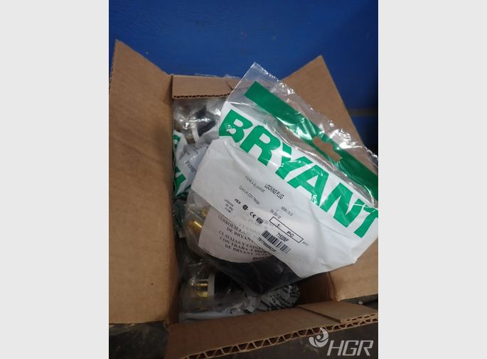 Bryant Locking Plugs