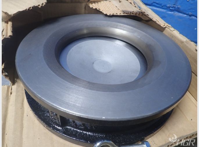 Check Rite Check Valve