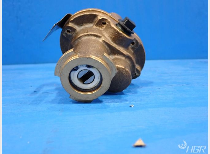 Dayton Rotary Gear Pump