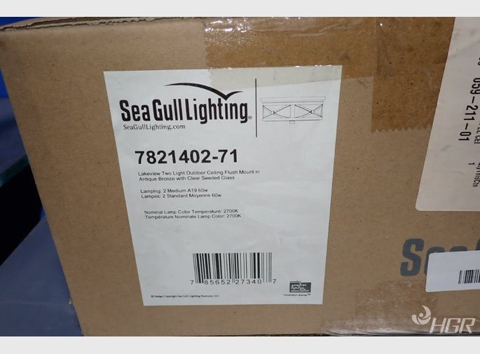 Seagull Lighting Light Fixture