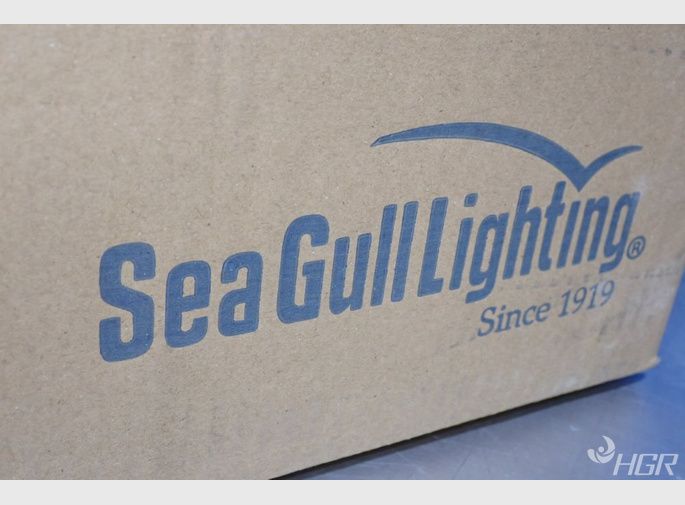 Seagull Lighting Light Fixture