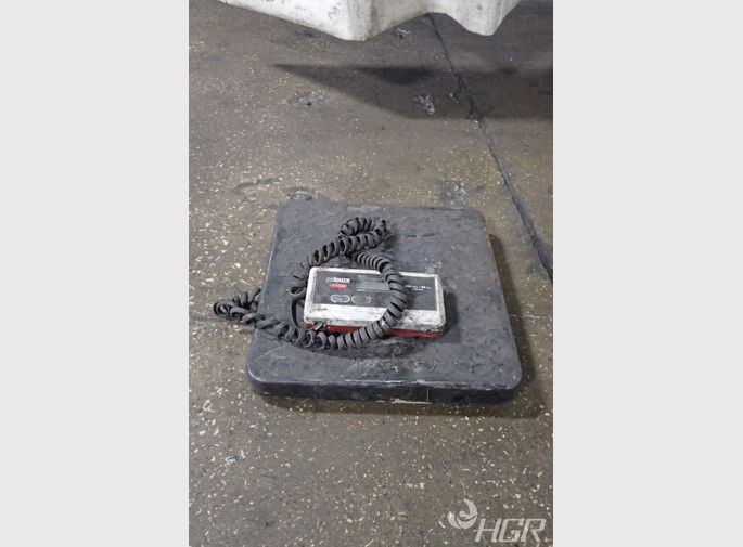 Rubbermaid Scale