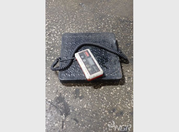 Rubbermaid Scale