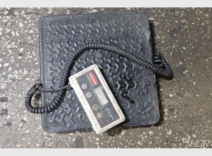 Rubbermaid Scale