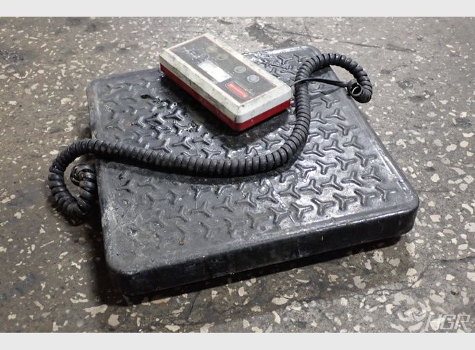 Rubbermaid Scale
