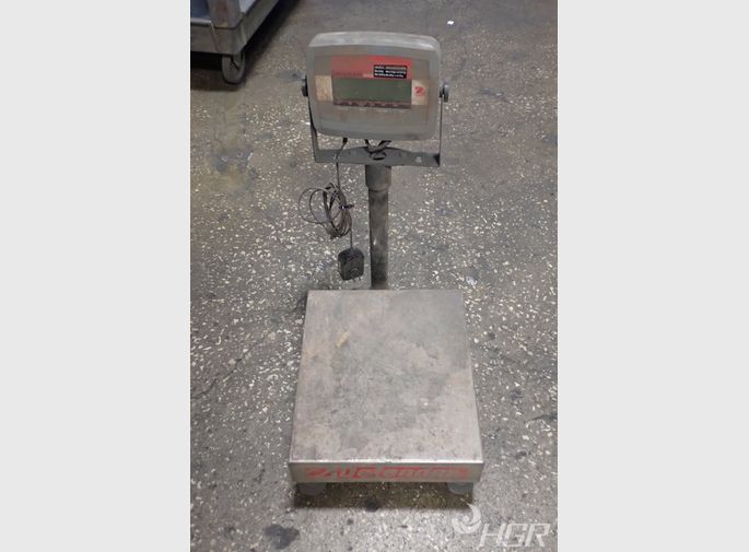 Ohaus Scale
