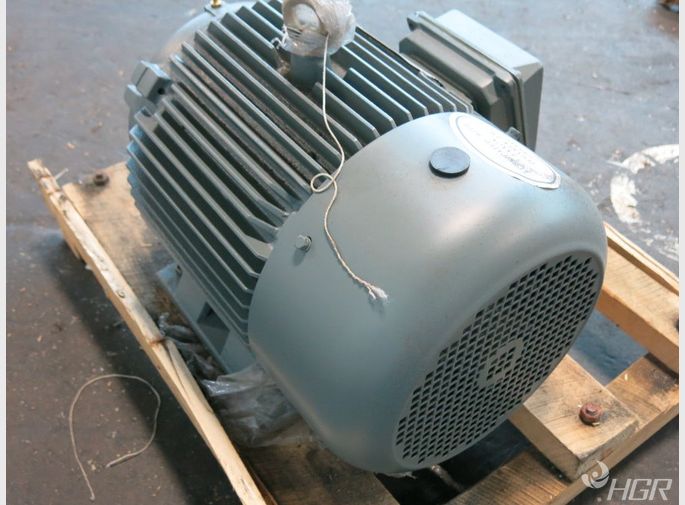 Speedtronic Motor