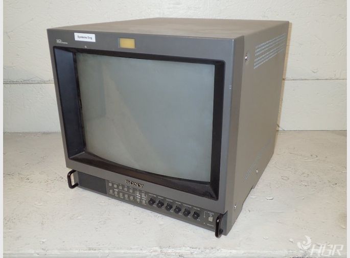 Sony Video Monitor