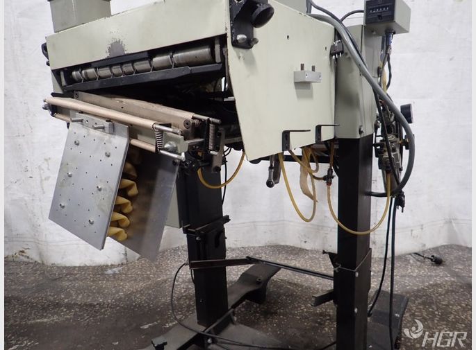 Automated Packaging Systems Bagger