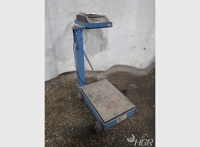 Detecto Scale