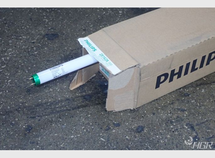 Philips Fluorescent Light Bulbs