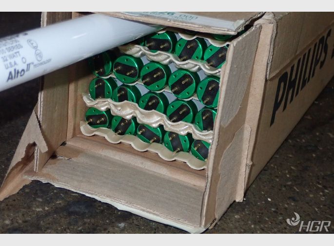 Philips Fluorescent Light Bulbs
