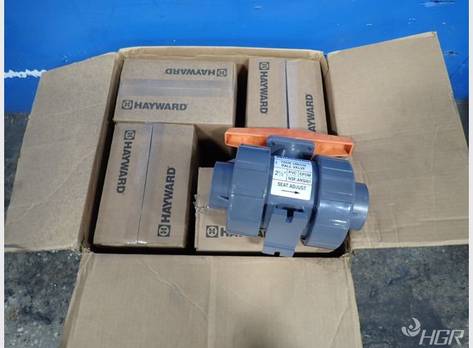 Hayward Valves