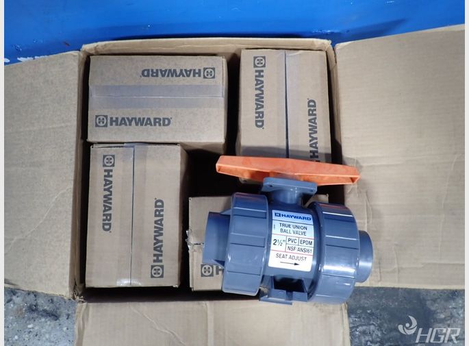 Hayward Valves