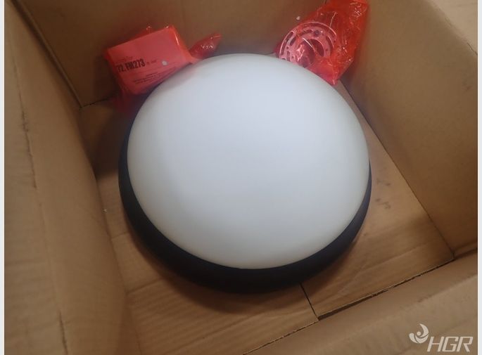 Generation Lighting Light Fixture