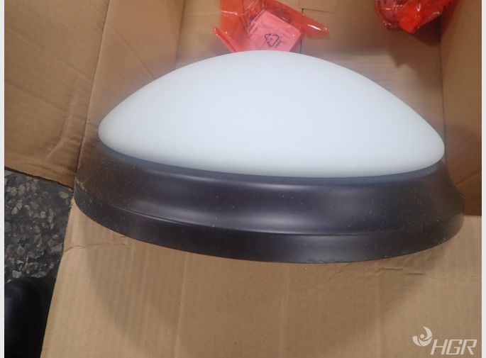 Generation Lighting Light Fixture