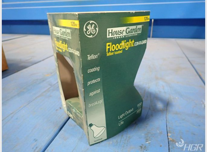 Ge Floodlight