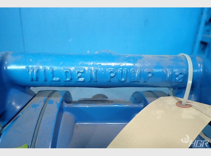 Wilden Diaphragm Pump