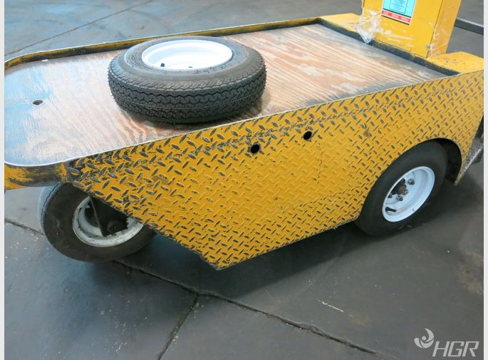 Pack Mule Electric Cart