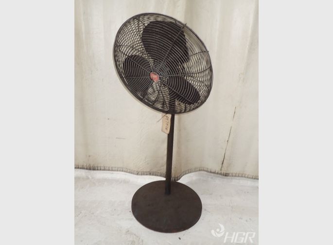 Dayton  Pedestal Fan 