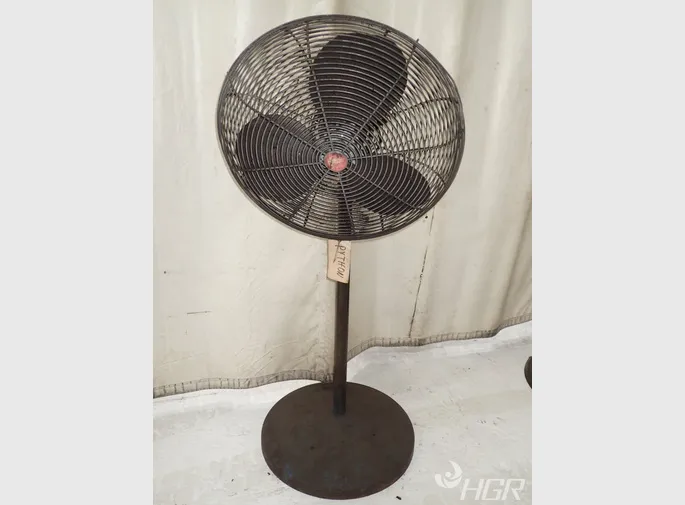 Dayton  Pedestal Fan 