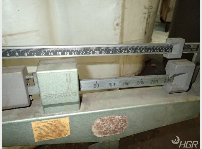  Scale