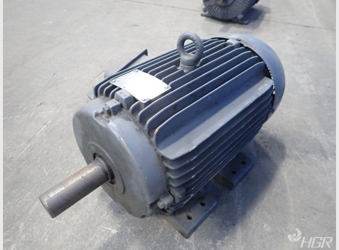 Weg Motor