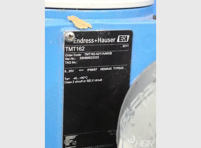 Endresshauser Actuator
