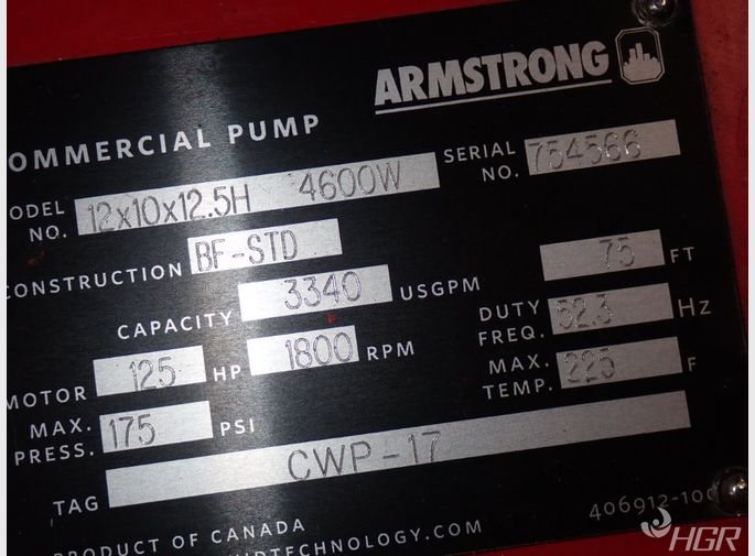 Armstrong Armstrong 12x10x125h 4600w Commercial Pump