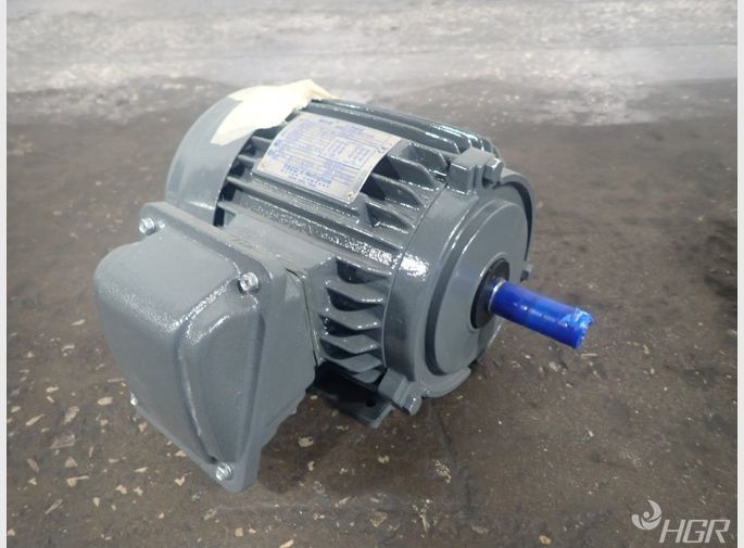 Tecowestinghouse Motor