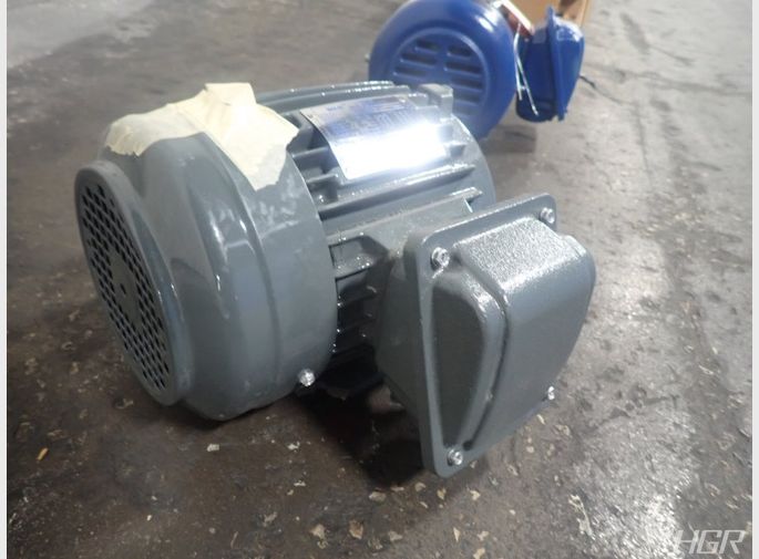 Tecowestinghouse Motor