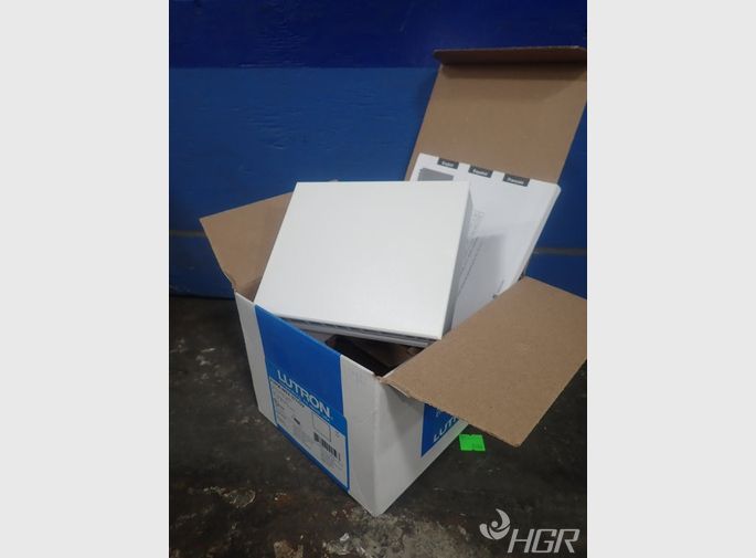 Lutron Power Module