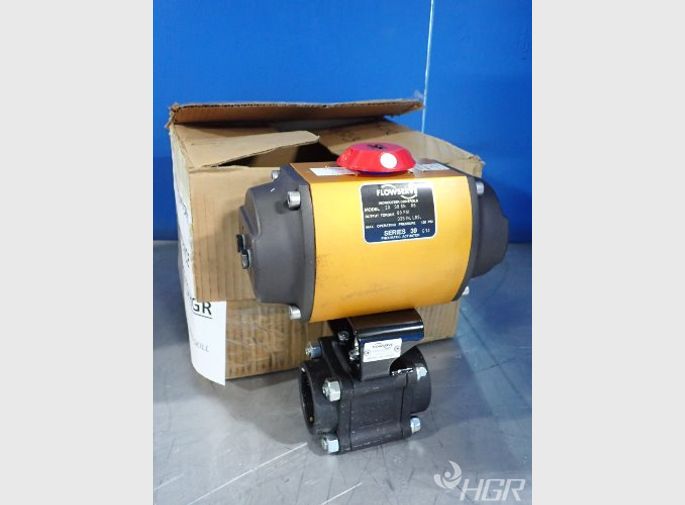 Flow Serve Pneumatic Actuator